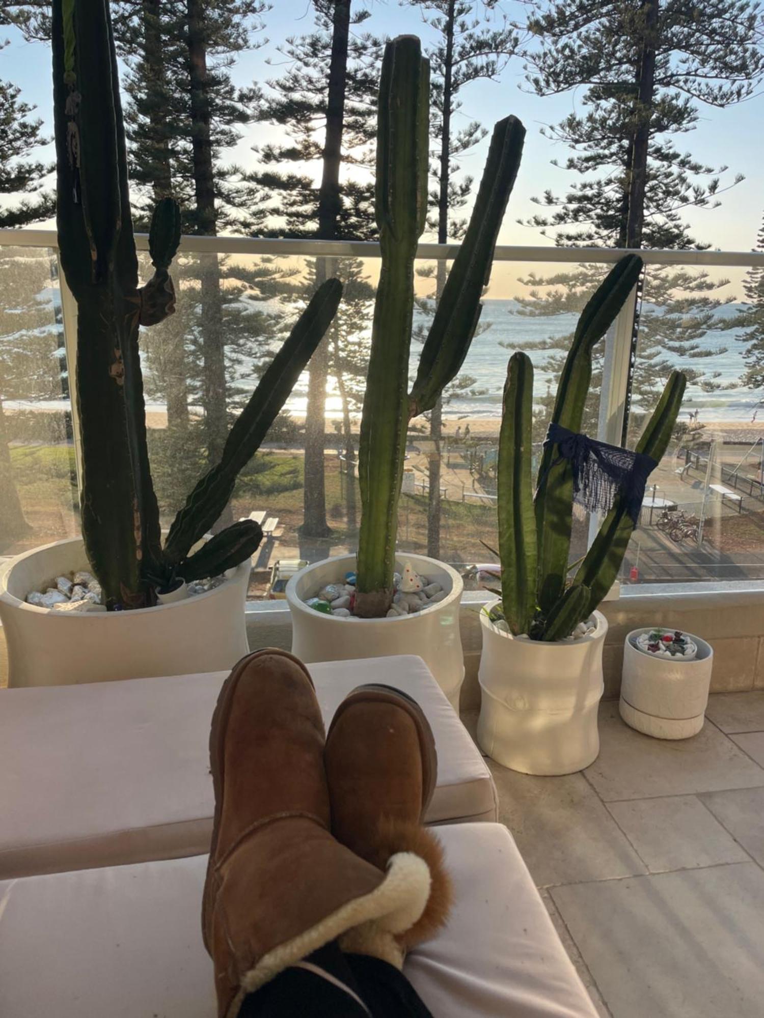 Manly Beachfront Stay Sydney Kültér fotó